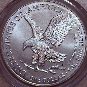 Peut inclure: Une pi&egrave;ce d'un dollar en argent repr&eacute;sentant un aigle am&eacute;ricain aux ailes d&eacute;ploy&eacute;es. La pi&egrave;ce est grav&eacute;e des inscriptions "UNITED STATES OF AMERICA", "ONE DOLLAR" et "1 OZ. FINE SILVER".