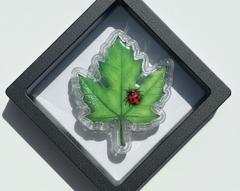Pure Silver Maple Leaf with Ladybug Shaped Art Bar, Green • 1.5g Fine (.999) Silver in Floating Display • Limited Mintage of 1500