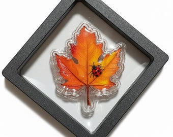 Pure Silver Maple Leaf with Ladybug Shaped Art Bar, Orange • 1.5g Fine (.999) Silver in Floating Display • Limited Mintage of 1500