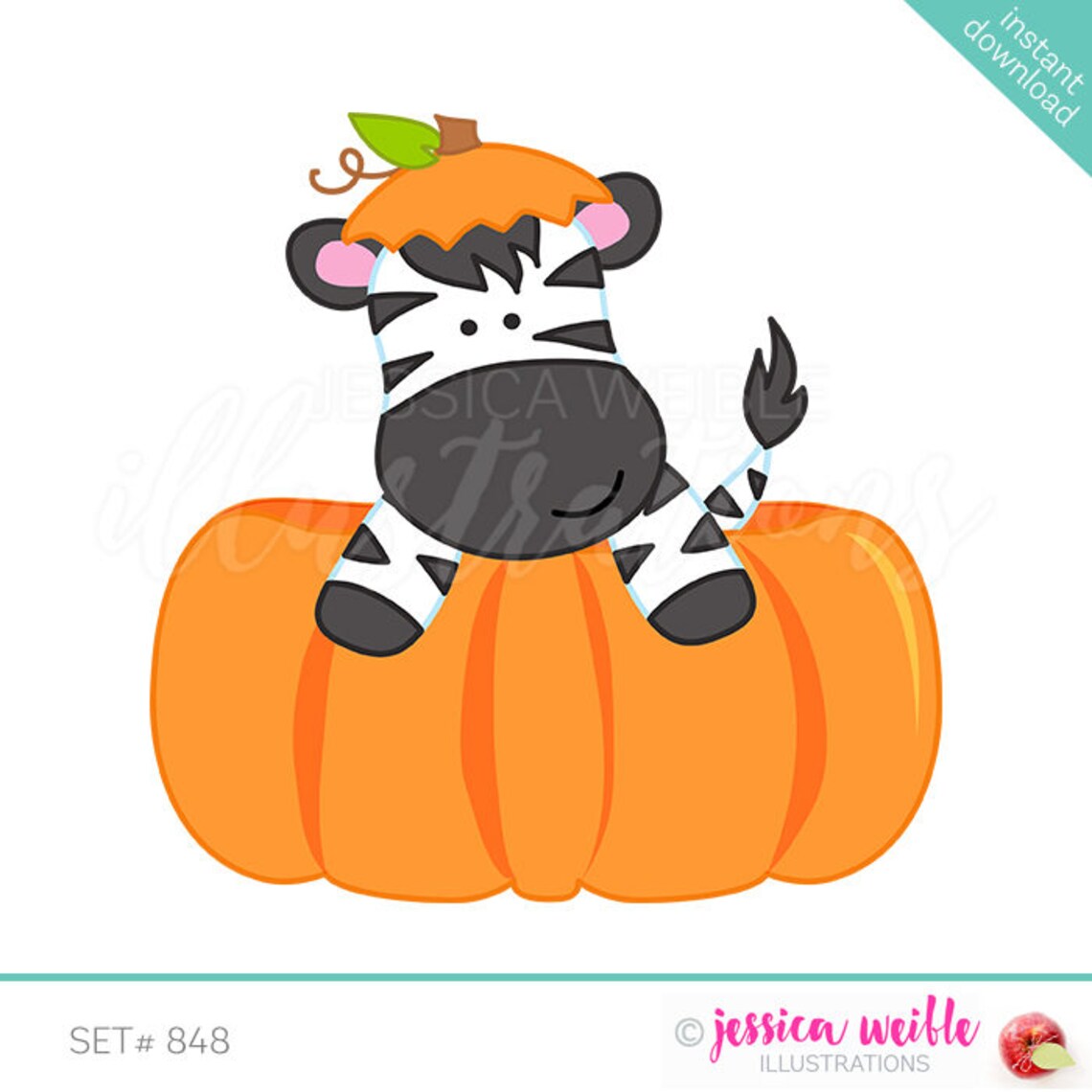Zebra in Pumpkin Cute Digital Clipart Safari Clip art Zebra  Etsy