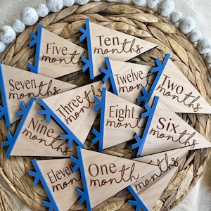 Baby Monthly Milestone Marker, Pennant Flag Milestones, Baby Photo Prop, Modern Baby, Minimalist Baby, Milestone Disc, Monthly Milestones