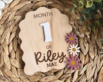 Interchangeable Milestone Sign, Floral Milestone Sign, Wildflower Milestone for Baby, Baby Monthly Milestone, Monthly Milestone Photo Prop
