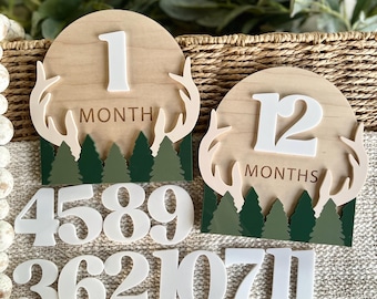 Hunting Milestone Sign Set, Monthly Milestones for Boys, Interchangeable Milestone Set, Baby Shower Gift, Hunting, Baby Monthly Photo Prop