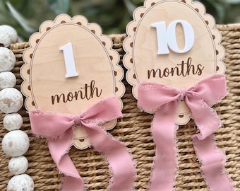 Lint verwisselbare mijlpaalborden, maandelijkse mijlpaalmarkeringen, kraamcadeau, strik mijlpaalborden, cadeau voor babymeisje