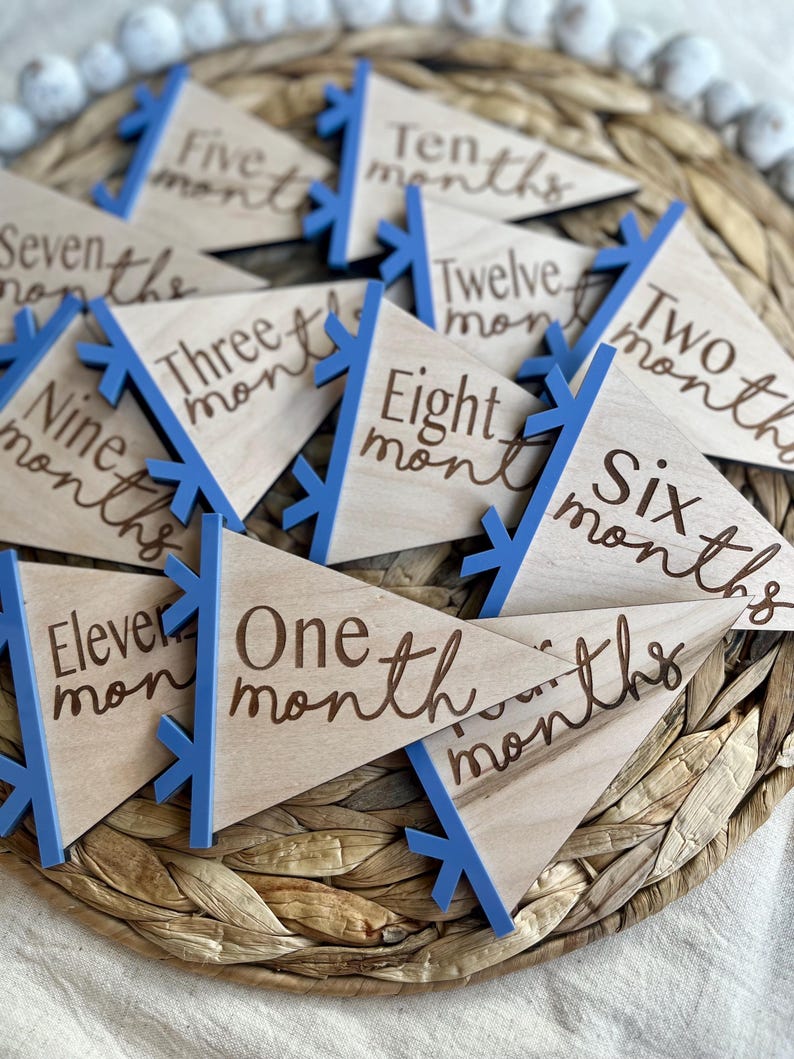 Baby Monthly Milestone Marker, Pennant Flag Milestones, Baby Photo Prop ...