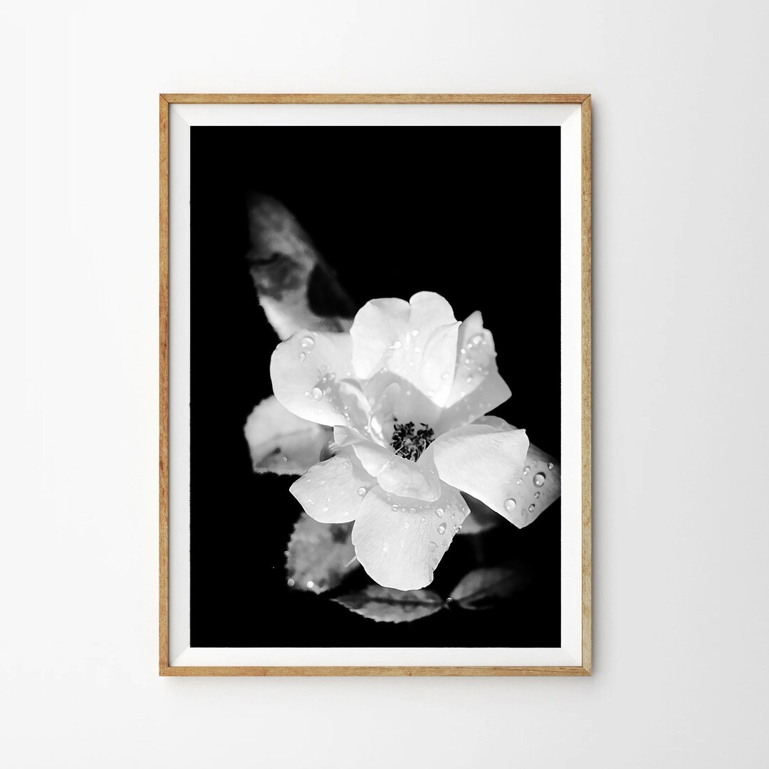 Printable Black and White Wall Art, Aesthetic Pictures for Wall to ...