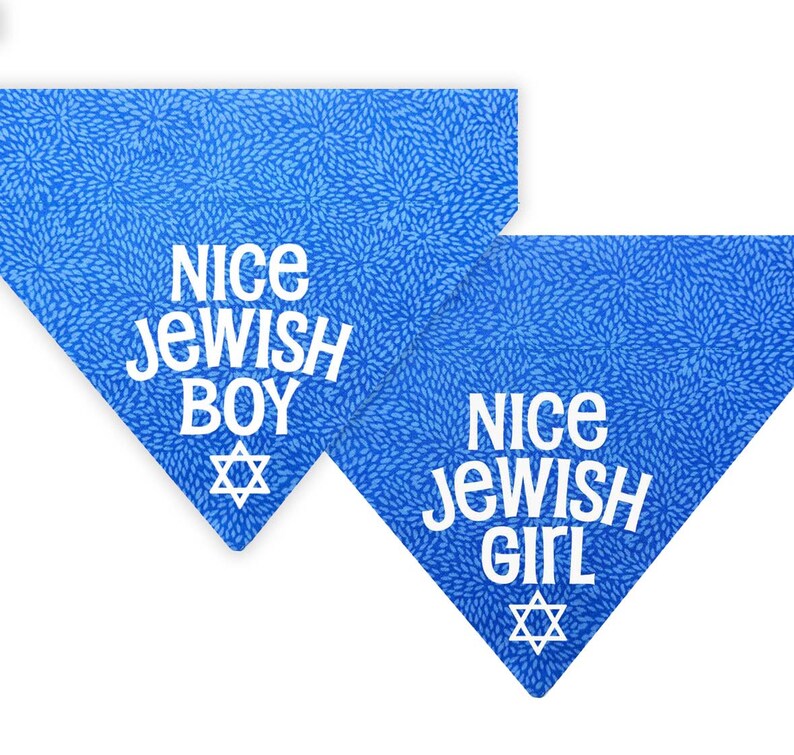 Nice Jewish Boy Pet Bandana Nice Jewish Girl Pet Bandana Hanukkah Dog and Cat Bandana Over the Collar Bandana image 7