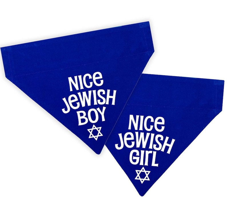 Nice Jewish Boy Pet Bandana Nice Jewish Girl Pet Bandana Hanukkah Dog and Cat Bandana Over the Collar Bandana image 1