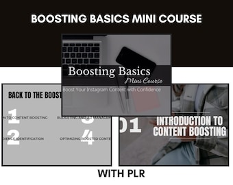Boosting Basics Mini Audio Course for Instagram, Increase Engagement & Reach, Social Media Growth PLR, Resell And Monetize Digital Content
