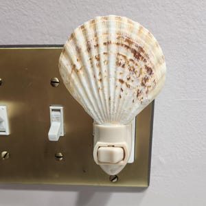 May include: A white seashell nightlight plugged into a gold electrical outlet. The nightlight has a white switch.