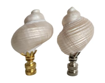 Turbo Pearl Setosus zeeschelp lamp kruisbloem, strand kusthuisdecoratie, kustgrootmoeder huisdecoratie, gratis verzending
