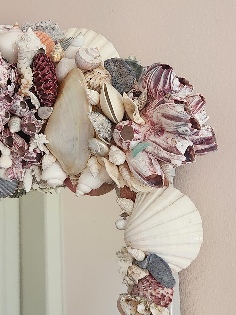 May include: A decorative mirror frame adorned with a variety of seashells in shades of white, cream, purple, and gray. The frame is densely packed with different types of shells, creating a textured and coastal aesthetic. The mirror is ideal for a beach-themed decor.