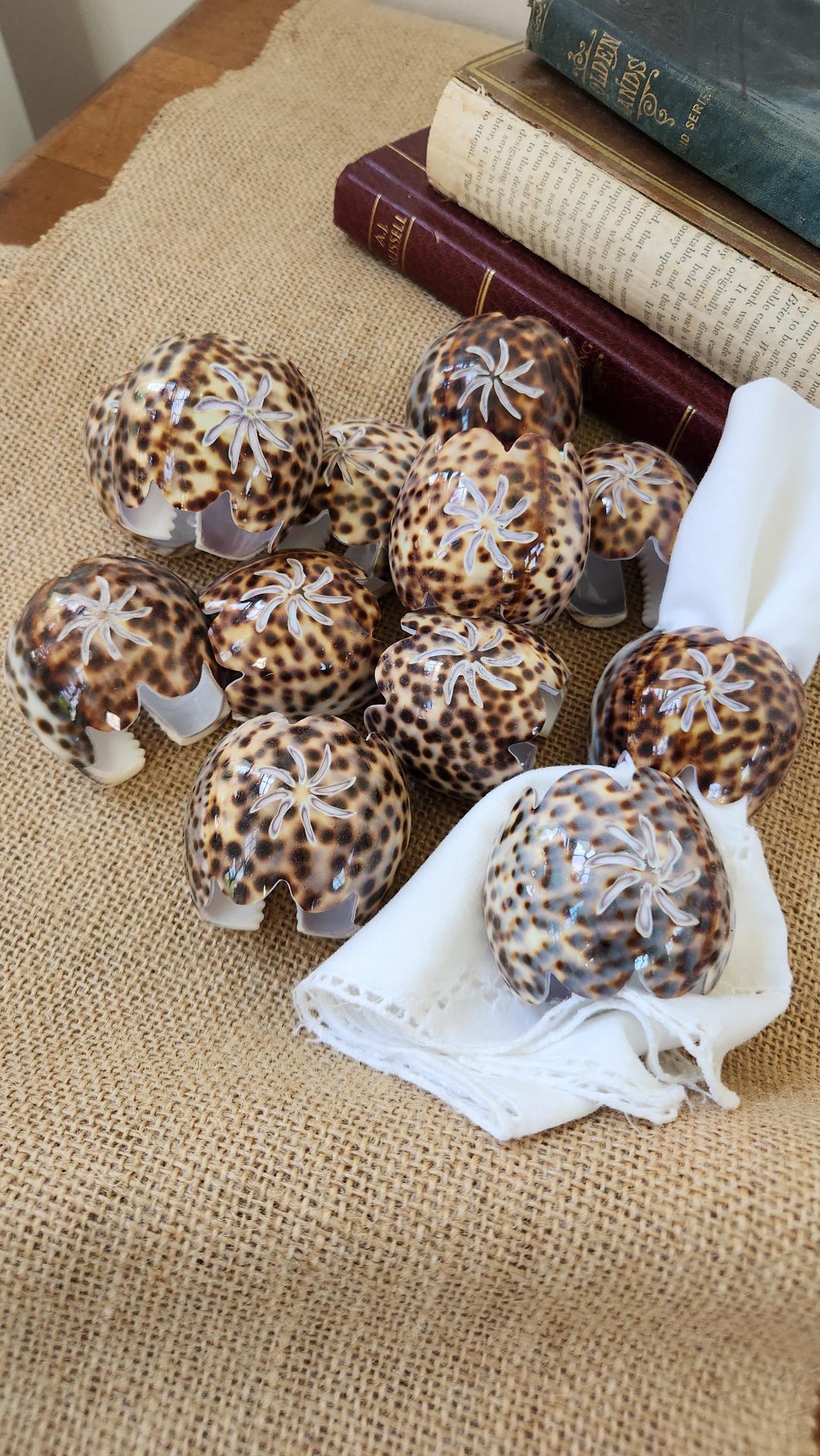 Seashell Napkin Holder, Leopard Cowrie Shell Hand-carved and Scalloped ...