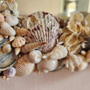 May include: Close-up of a decorative border made of various seashells. The shells are in shades of white, beige, and brown, with some featuring intricate patterns and textures. The arrangement includes different shapes and sizes, creating a natural, coastal theme.