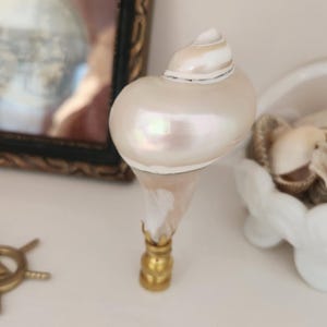 May include: A decorative bottle stopper featuring a pearlescent seashell design. The shell is mounted on a brass-colored base. The stopper is a unique accent piece for a coastal or nautical-themed home.