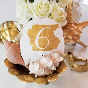 Op de afbeelding: Een witte schelp met een gouden nummer zes erop. De schelp ligt op een gouden metalen dienblad met andere schelpen en een zeester.