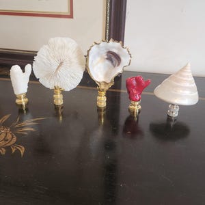 Puede incluir: Una colección de remates de lámpara decorativos con elementos naturales. Los remates incluyen un coral blanco, un coral blanco en forma de abanico, una concha de ostra, un coral rojo y una concha nacarada. Cada remate está montado sobre una base dorada o plateada.
