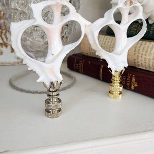 May include: Two white seashell lamp finials with gold bases. The seashells are delicate and have a natural, organic shape.
