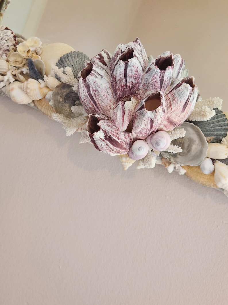 May include: A decorative mirror frame adorned with various seashells, coral, and a large, textured, barnacle-like centerpiece in shades of white and burgundy. The frame is embellished with small, light-colored seashells and coral.