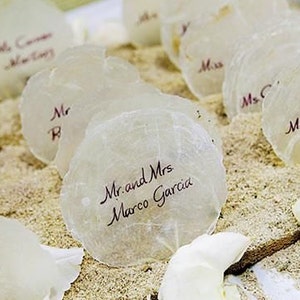 May include: White seashells with handwritten names on them, used as place cards for a wedding or other event. The shells are arranged on a sandy surface.