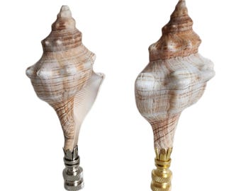 May include: Two seashell lamp finials with a gold and silver finish. The seashells are a light brown color with white stripes.