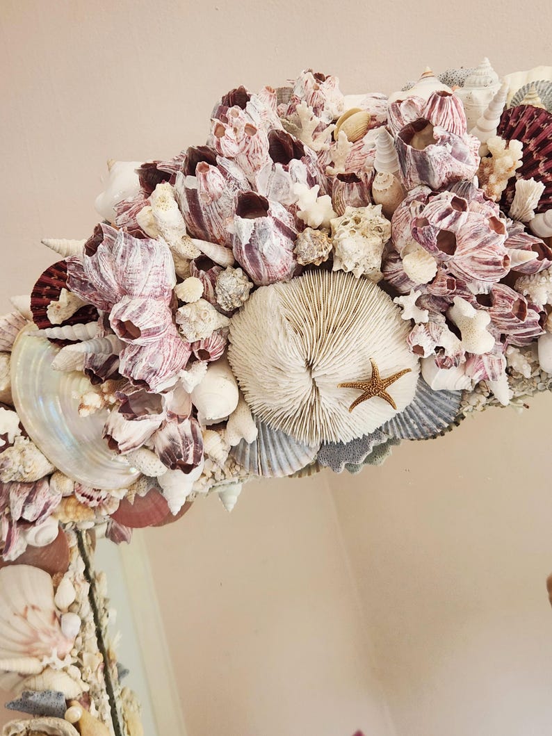 May include: A decorative mirror frame adorned with a variety of seashells, barnacles, and coral. The frame features a mix of colors, including white, pink, and brown, with a small starfish accent. The design creates a coastal or nautical theme.