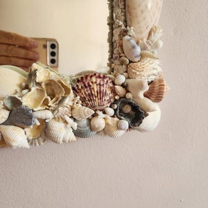 May include: A rectangular mirror with a frame intricately decorated with various seashells. The frame features a mix of colors, including white, beige, brown, and hints of purple. The seashells are of different sizes and shapes, creating a textured, coastal aesthetic.