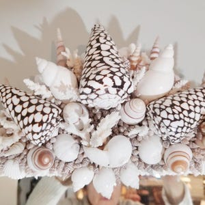 May include: A decorative mirror frame adorned with a variety of seashells and coral. The frame features large, patterned shells in black and white, along with smaller white and tan shells. The overall design is a natural, coastal theme.