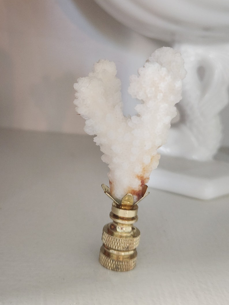 May include: White coral lamp finial with a gold metal base. The coral is a natural material and has a rough texture.