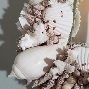 May include: A decorative mirror frame adorned with a variety of seashells. The frame features large, white conch shells, smaller speckled shells, and white coral accents. The shells are arranged around the mirror's edge.