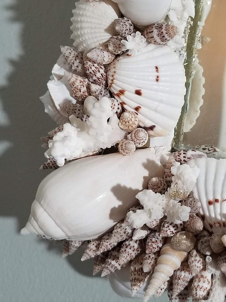 May include: A decorative mirror frame adorned with a variety of seashells. The frame features large, white conch shells, smaller speckled shells, and white coral accents. The shells are arranged around the mirror's edge.