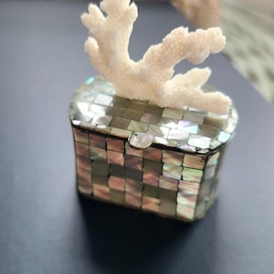 Mini Abalone Shell Trinket Pill Box, Decorative Coastal Pill Box With Real Coral, Iridescent Mother of Pearl, Shell Trinket Pill Box