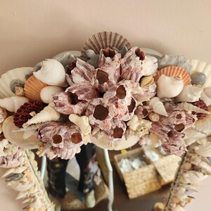 May include: Oval mirror frame decorated with a variety of seashells, including white, tan, and reddish-purple shells. The frame is adorned with barnacles and other marine elements, creating a coastal aesthetic.