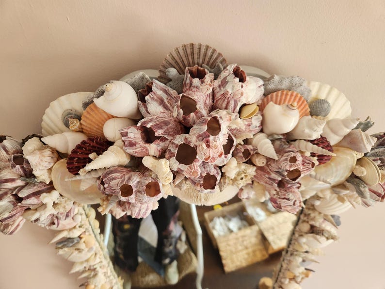 May include: Oval mirror frame decorated with a variety of seashells, including white, tan, and reddish-purple shells. The frame is adorned with barnacles and other marine elements, creating a coastal aesthetic.
