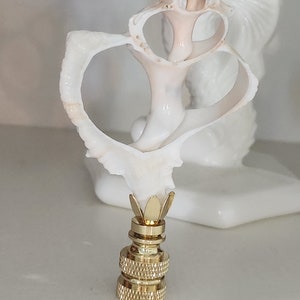 May include: A white seashell lamp finial with a gold metal base. The seashell is shaped like a heart and has a delicate, intricate design. The base has a decorative, fluted design.