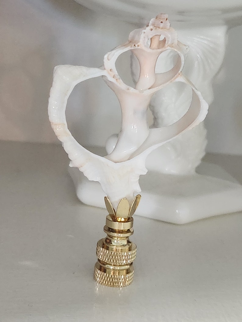 May include: A white seashell lamp finial with a gold metal base. The seashell is shaped like a heart and has a delicate, intricate design. The base has a decorative, fluted design.