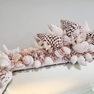 May include: A decorative mirror frame adorned with a variety of seashells, coral, and small pebbles. The shells include white, brown, and black patterned varieties. The frame is a light beige color, creating a coastal theme.