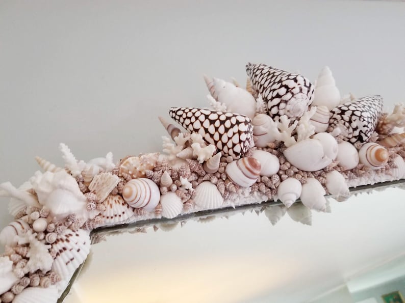 May include: A decorative mirror frame adorned with a variety of seashells, coral, and small pebbles. The shells include white, brown, and black patterned varieties. The frame is a light beige color, creating a coastal theme.