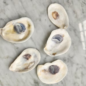 Conchas de ostra médias, tamanho 2 - conjunto de 40 conchas de ostra de 2,5" de Connecticut, cartões de lugar com tema de praia, artesanato de praia, suprimentos de joias