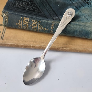 May include: A silver spoon with a floral design on the handle, resting on a stack of antique books. The spoon's bowl is oval-shaped and reflects the light. The books have aged covers in shades of blue and tan.
