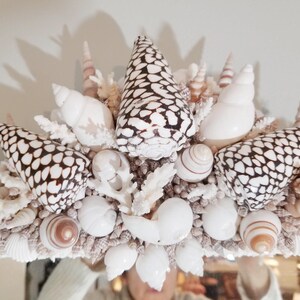 May include: A decorative mirror frame adorned with a variety of seashells and coral. The frame features large, patterned shells in black and white, along with smaller white and brown shells. The overall design is a coastal or nautical theme.