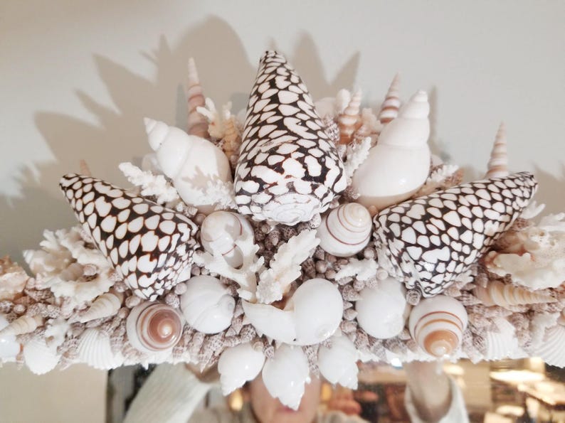 May include: A decorative mirror frame adorned with a variety of seashells and coral. The frame features large, patterned shells in black and white, along with smaller white and brown shells. The overall design is a coastal or nautical theme.