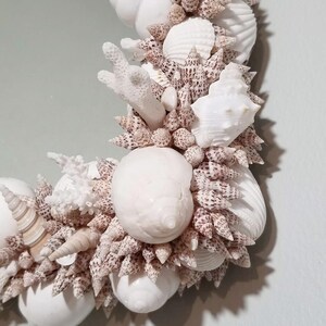 May include: A decorative wreath composed of various seashells and coral. The wreath features a mix of white, cream, and speckled brown shells, creating a textured and natural aesthetic. The design includes different shapes and sizes of shells.