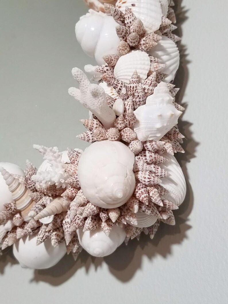 May include: A decorative wreath composed of various seashells and coral. The wreath features a mix of white, cream, and speckled brown shells, creating a textured and natural aesthetic. The design includes different shapes and sizes of shells.