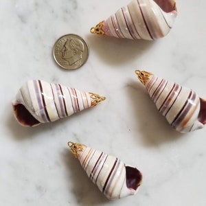 Natural Sea Shell Pendant, Spiral Sea Shell Pendant, Sea Shell Charm Supplies, Beach Tropical Charm, Jewelry Making Supplies