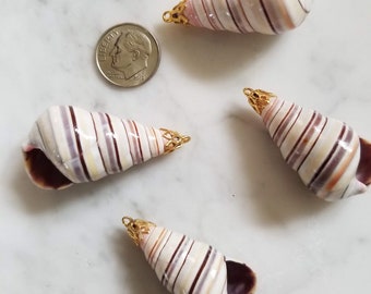 Natural Sea Shell Pendant, Spiral Sea Shell Pendant, Sea Shell Charm Supplies, Beach Tropical Charm, Jewelry Making Supplies