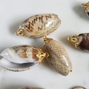 Natural Sea Shell Pendant, Sea Shell Pendant, Sea Shell Charm Supplies, Beach Tropical Charm, Jewelry Making Supplies