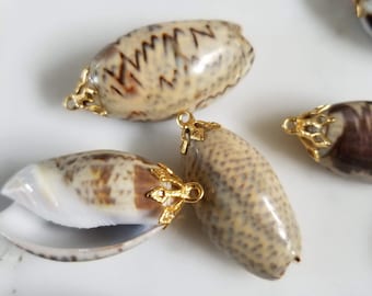 Natural Sea Shell Pendant, Sea Shell Pendant, Sea Shell Charm Supplies, Beach Tropical Charm, Jewelry Making Supplies
