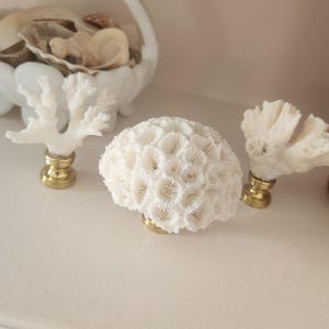 Puede incluir: Objetos decorativos de coral blanco con bases doradas. Los objetos incluyen una pieza de coral redonda y dos piezas de rama de coral. Una cesta de cerámica blanca llena de conchas marinas está en el fondo.
