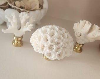 Remate de lámpara de coral auténtico, remate de lámpara estilo cabaña de playa, remate náutico, decoración costera para el hogar, decoración costera para abuelas